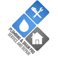 Plumbing and Drain Pro logo